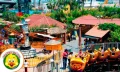 Desde S/ 69.90 por Entrada a LA GRANJA VILLA para todos los juegos + PISCINA durante todo el día. Válido de Lunes a Sábado - Imagen 3