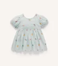 Fruity Embroidered Dress